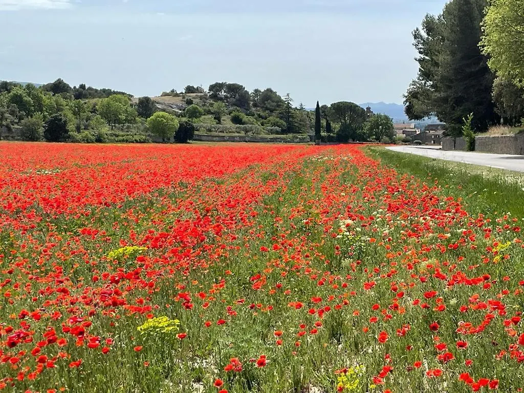 Dependance Cosy Entre Gordes Et Isle Sur La Sorgue Lagnes